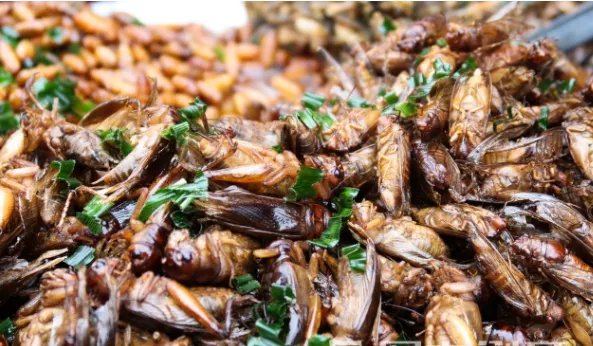 二月二龙抬头吃什么传统食物 龙抬头有哪些美食