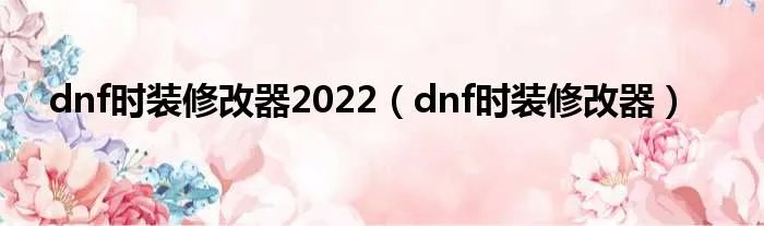 dnf时装修改器2022（dnf时装修改器）