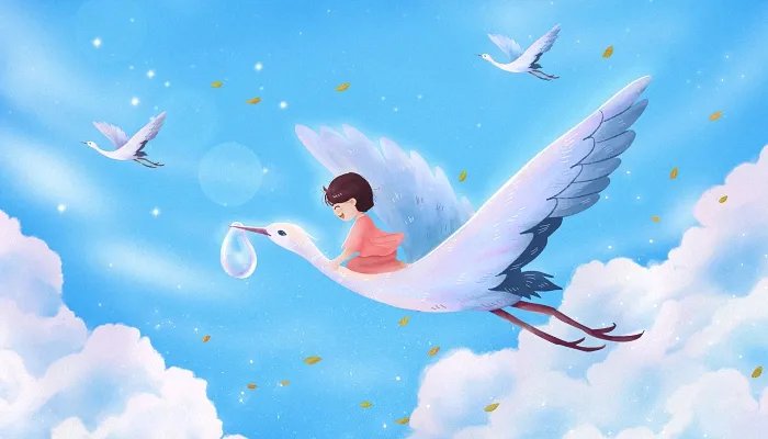 寒露后面的节气是什么 寒露之后是什么节气