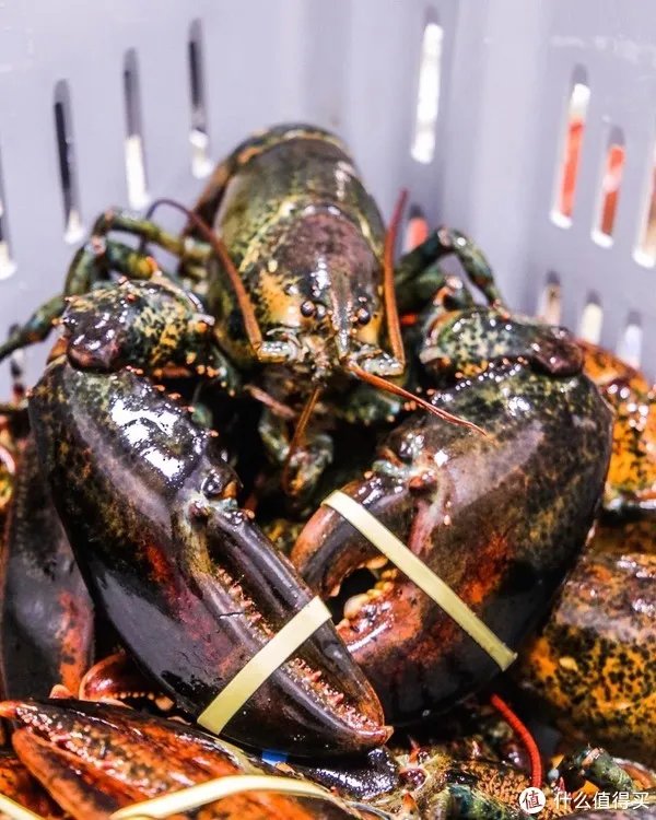 龙虾怎么做好吃