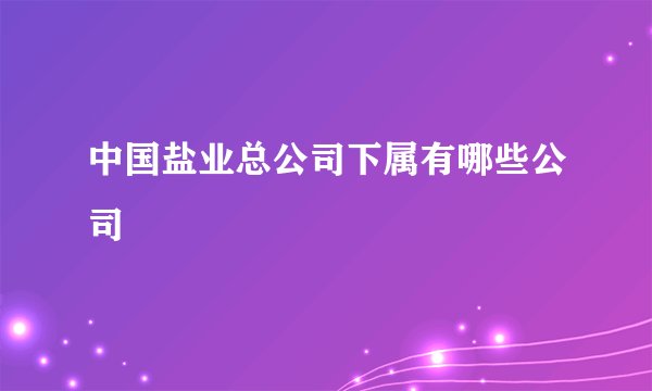 中国盐业总公司下属有哪些公司