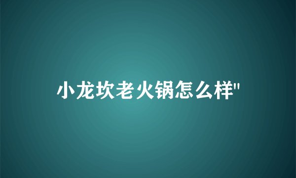 小龙坎老火锅怎么样