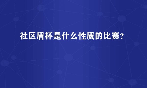 社区盾杯是什么性质的比赛？
