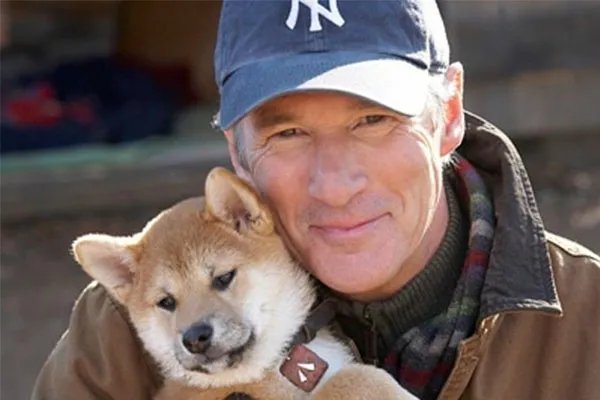 欧美十大经典大片 每一位电影爱好者必看的经典影片