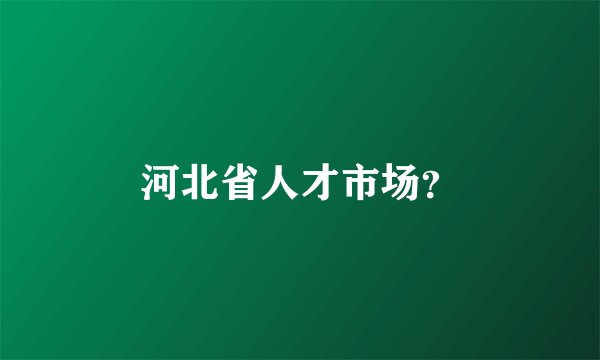 河北省人才市场？