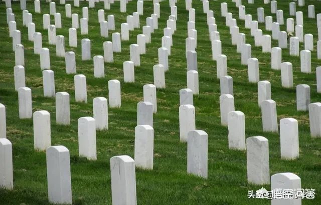 对于南京暂停清明现场祭扫活动你怎么看？