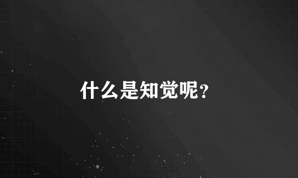 什么是知觉呢？