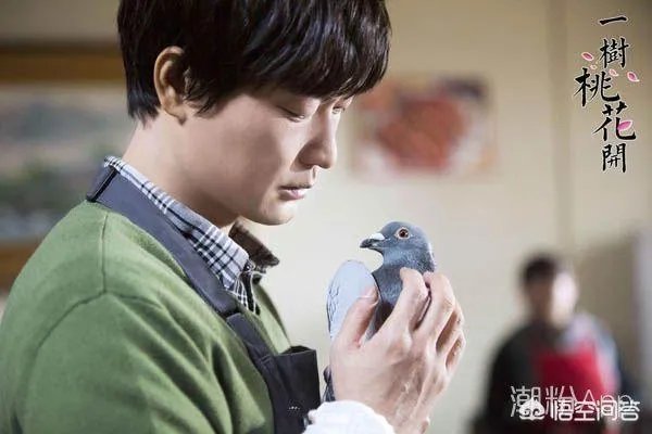 电视剧《一树桃花开》,相比盛开,为啥狄英最后能治服罗耀辉母?