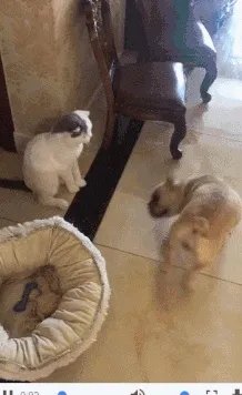 每天都开心不起来怎么办？