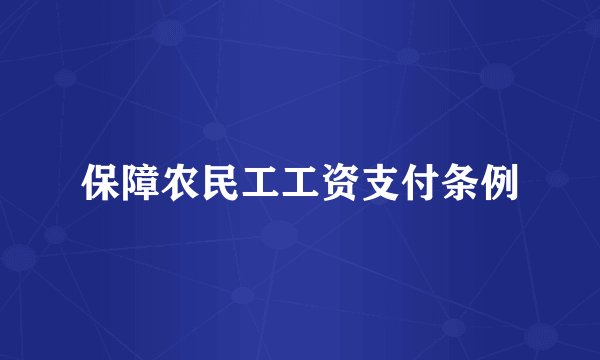保障农民工工资支付条例