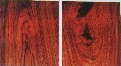 草花梨怎么辨别？