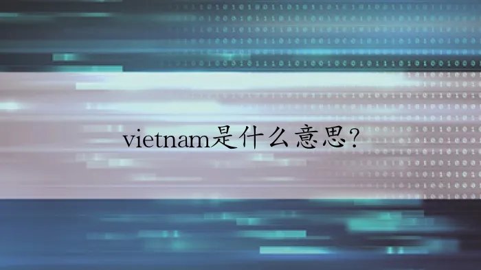 vietnam是什么意思？