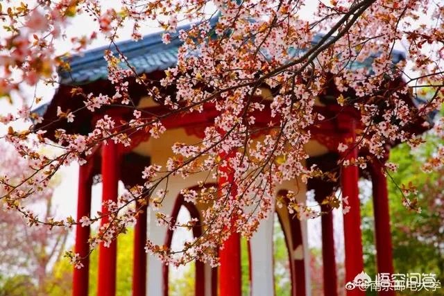 南京邮电大学怎么样？