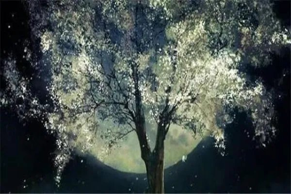 十大上古神树 星辰树以星辰为食，第七能直达天阙