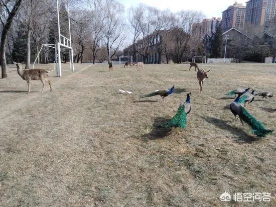 北京哪家温泉比较好？