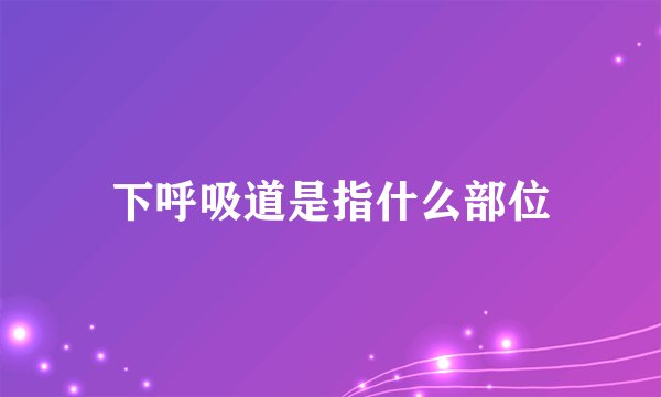 下呼吸道是指什么部位