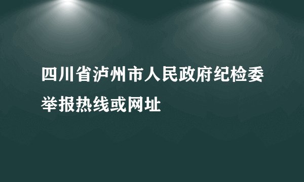 四川省泸州市人民政府纪检委举报热线或网址