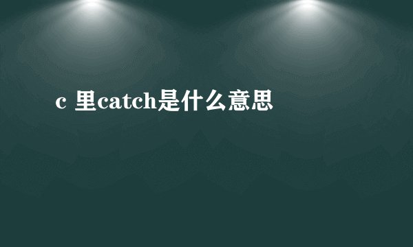 c 里catch是什么意思