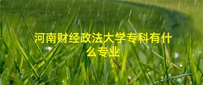 河南财经政法大学专科有什么专业