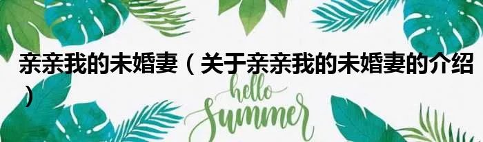 亲亲我的未婚妻（关于亲亲我的未婚妻的介绍）