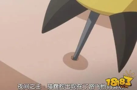 海贼王765集预告 去见猫蝮蛇大人