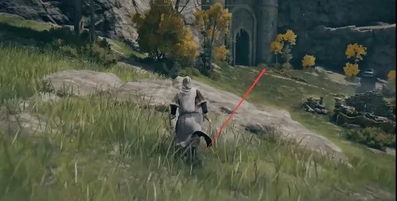 艾尔登法环怎么召唤三只狼