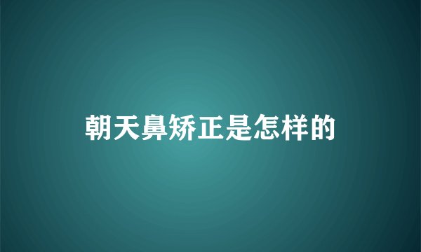 朝天鼻矫正是怎样的