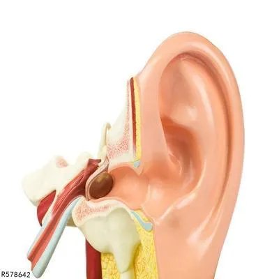 外耳再造方法有哪些