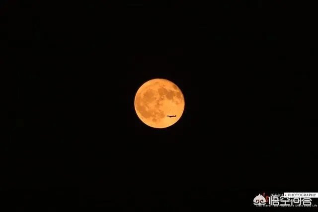 你曾拍过或者见过的最美的月亮是什么样的？