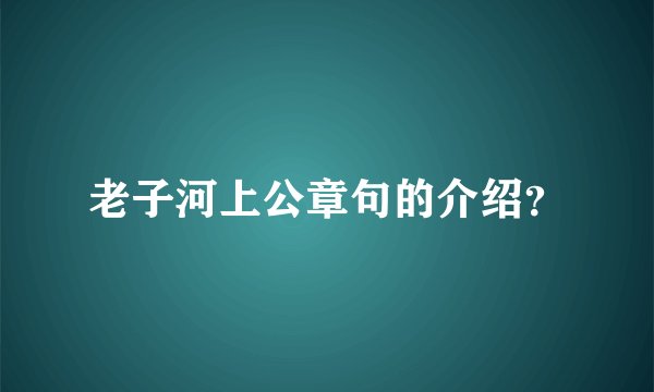老子河上公章句的介绍？