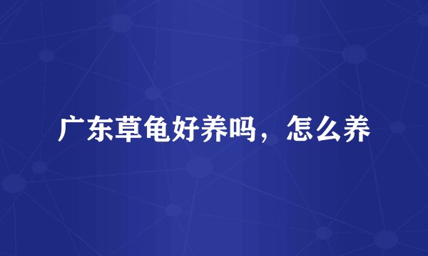 广东草龟好养吗，怎么养