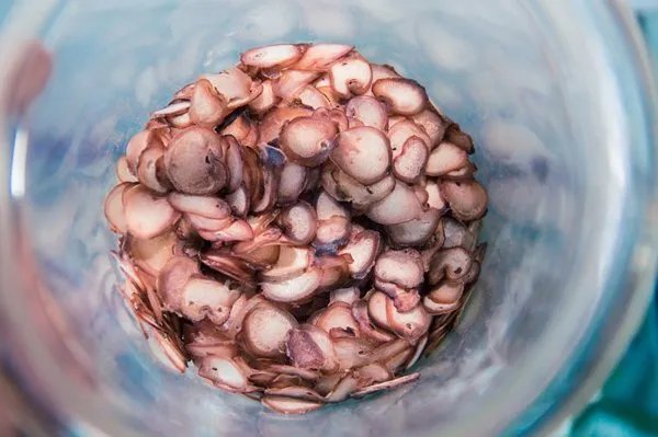 寒露养生注意事项