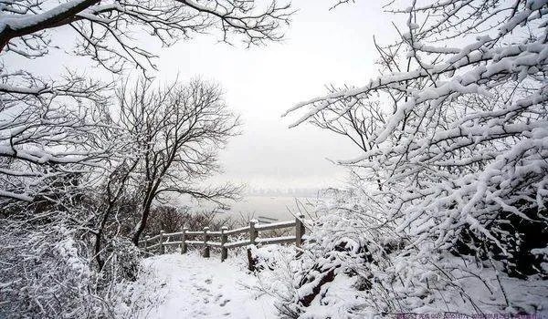 忽如一夜春风来，千树万树梨花开。是什么意思？