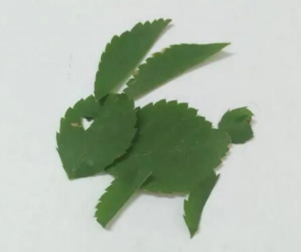 小兔子手工制作方法