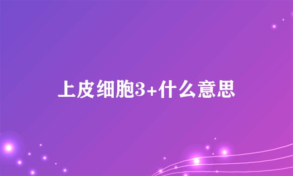 上皮细胞3+什么意思
