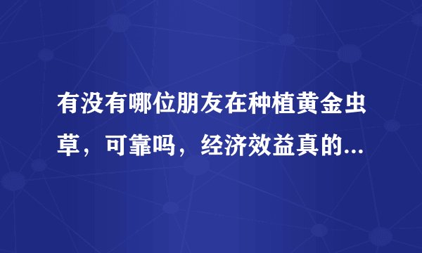 有没有哪位朋友在种植黄金虫草，可靠吗，经济效益真的有那么好吗