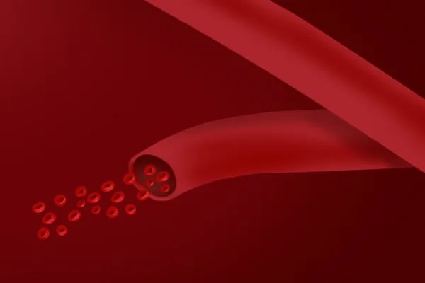 香蕉可以和红枣一起吃吗