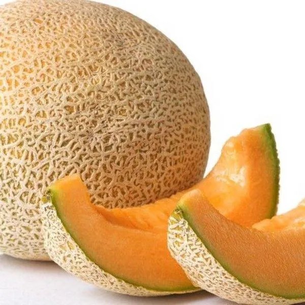 哈密瓜适合中国什么地方种植