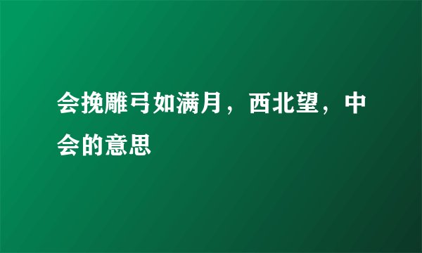 会挽雕弓如满月，西北望，中会的意思