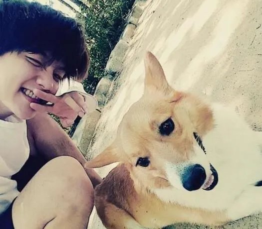 边伯贤ins道歉遭曝光 揭秘其中的真相