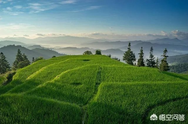 岜沙在哪里？岜沙好玩吗？