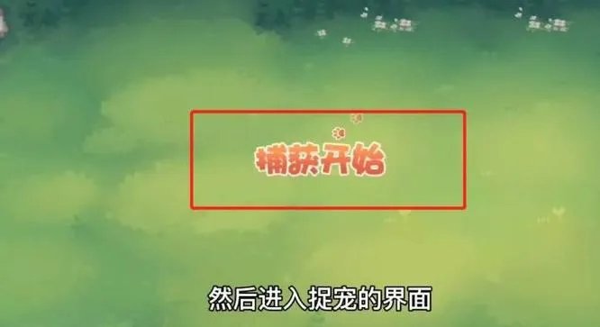 奥比岛宠物怎么捕捉?