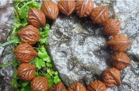 菩提子的种类及各种形态和功效