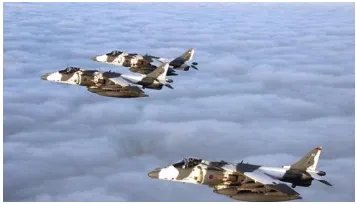 英国战机吓坏动物如何赔偿？