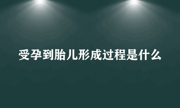 受孕到胎儿形成过程是什么
