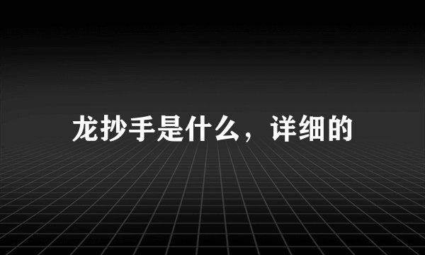 龙抄手是什么，详细的