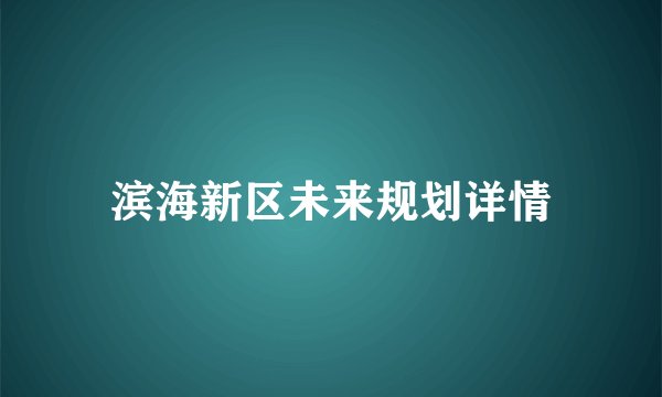 滨海新区未来规划详情