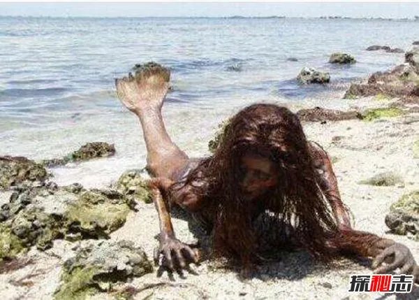 美人鱼真身吓人图片揭秘 美人鱼长相惊悚十分可怕