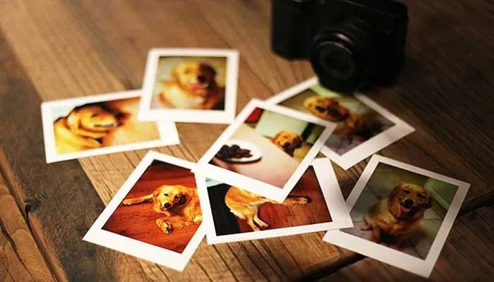 6寸是多少厘米照片 6寸是多大尺寸