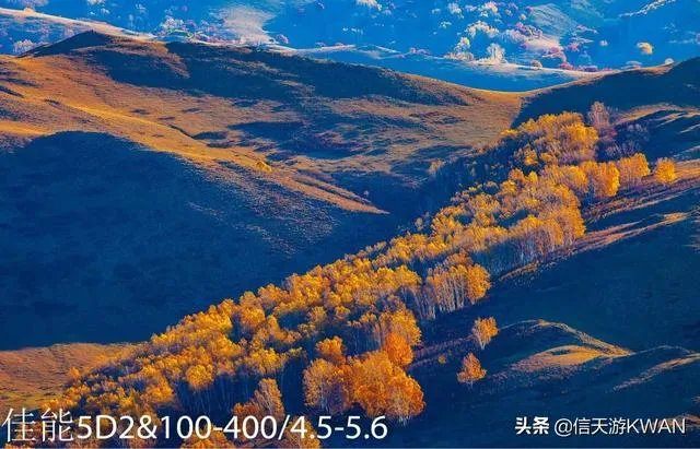 佳能100-400镜头适合拍什么?